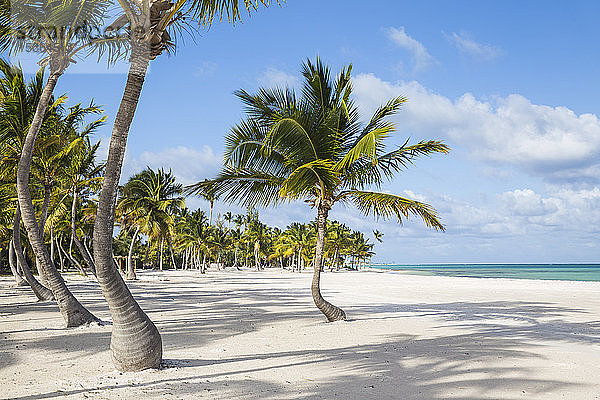 Juanillo Beach  Cap Cana  Punta Cana  Dominikanische Republik  Westindien  Karibik  Mittelamerika