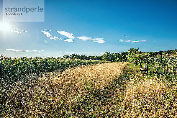 HDR-Aufnahme eines abgelegenen Ortes in den Hügeln  mit einer Holzbank mit Blick auf Felder und einen blauen Himmel  Baden-Württemberg  Deutschland  Europa