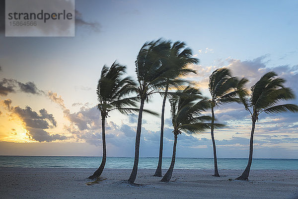 Juanillo Beach  Cap Cana  Punta Cana  Dominikanische Republik  Westindien  Karibik  Mittelamerika