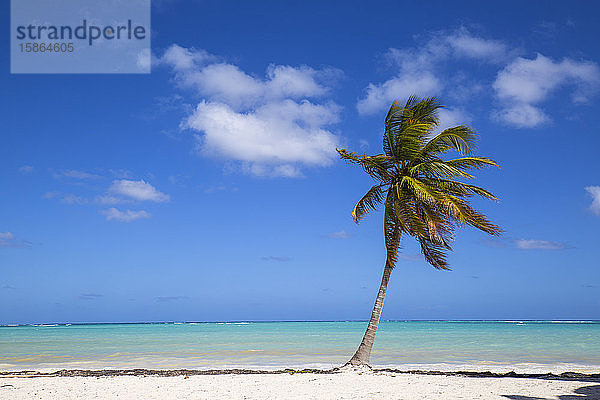 Cap Cana Beach  Punta Cana  Dominikanische Republik  Westindische Inseln  Karibik  Mittelamerika