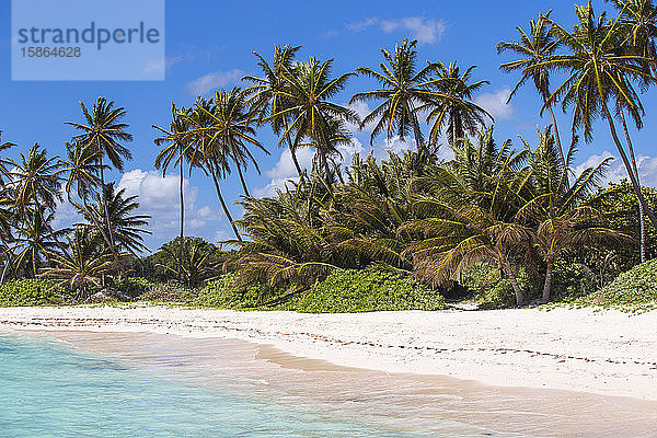 Playa Blanca  Punta Cana  Dominikanische Republik  Westindische Inseln  Karibik  Mittelamerika