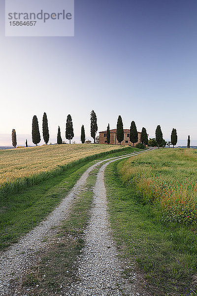 Bauernhaus mit Zypressen  in der Nähe von Pienza  Val d'Orcia (Orcia-Tal)  UNESCO-Weltkulturerbe  Provinz Siena  Toskana  Italien  Europa