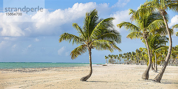 Juanillo Beach  Cap Cana  Punta Cana  Dominikanische Republik  Westindien  Karibik  Mittelamerika