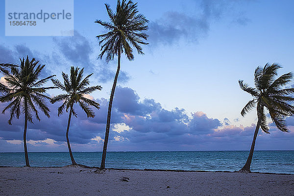 Cap Cana Beach  Punta Cana  Dominikanische Republik  Westindische Inseln  Karibik  Mittelamerika