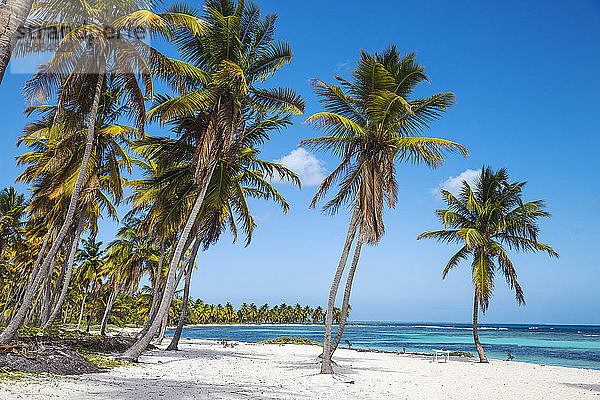 Canto de la Playa  Insel Saona  Parque Nacional del Este  Punta Cana  Dominikanische Republik  Westindien  Karibik  Mittelamerika