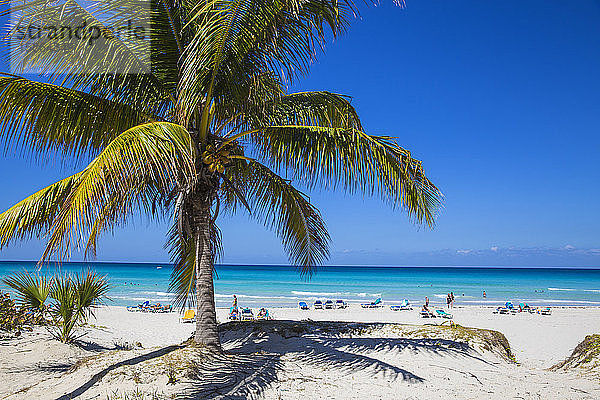 Varadero Strand  Varadero  Kuba  Westindische Inseln  Karibik  Mittelamerika