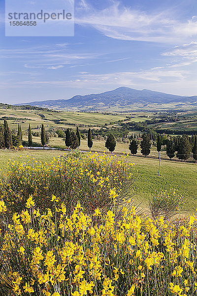 Toskanische Landschaft mit Monte Amiata  in der Nähe von Pienza  Val d'Orcia (Orcia-Tal)  UNESCO-Weltkulturerbe  Provinz Siena  Toskana  Italien  Europa