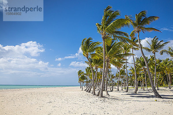 Juanillo Beach  Cap Cana  Punta Cana  Dominikanische Republik  Westindien  Karibik  Mittelamerika