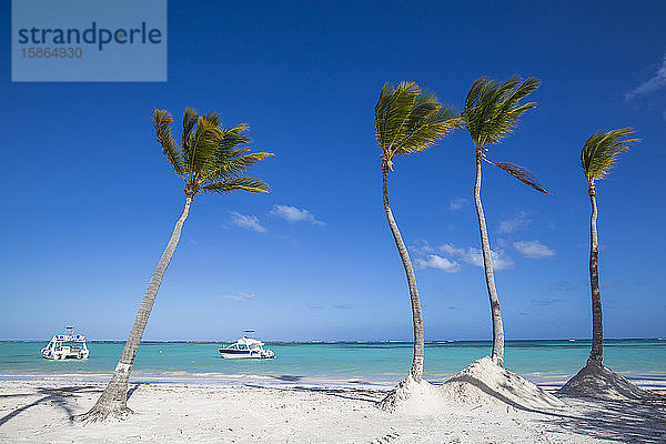 Juanillo Beach  Cap Cana  Punta Cana  Dominikanische Republik  Westindien  Karibik  Mittelamerika