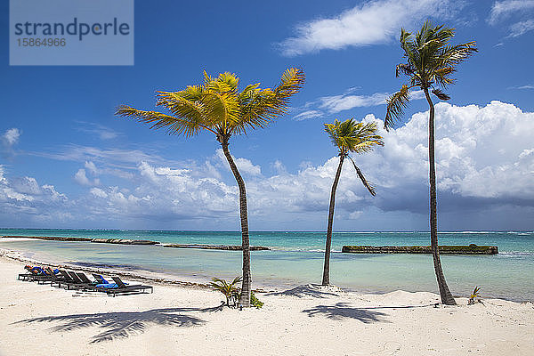 Strand im Resort Also del Mar  Punta Cana  Dominikanische Republik  Westindien  Karibik  Mittelamerika