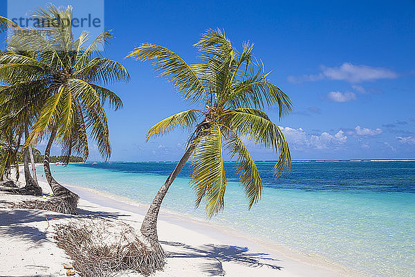 Playa Cabeza de Toro  Punta Cana  Dominikanische Republik  Westindische Inseln  Karibik  Mittelamerika