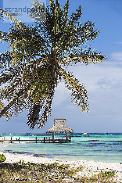 Holzsteg mit strohgedeckter Hütte  Playa Blanca  Punta Cana  Dominikanische Republik  Westindien  Karibik  Mittelamerika