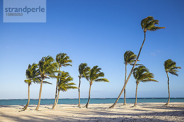 Juanillo Beach  Cap Cana  Punta Cana  Dominikanische Republik  Westindien  Karibik  Mittelamerika