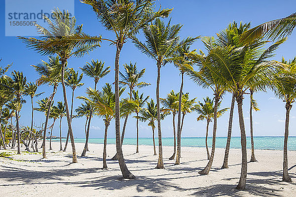 Juanillo Beach  Cap Cana  Punta Cana  Dominikanische Republik  Westindien  Karibik  Mittelamerika