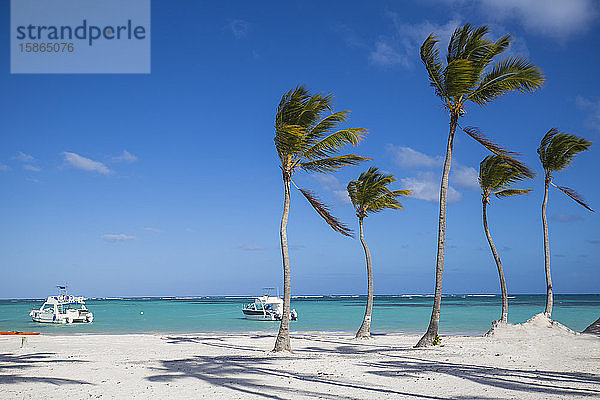 Juanillo Beach  Cap Cana  Punta Cana  Dominikanische Republik  Westindien  Karibik  Mittelamerika