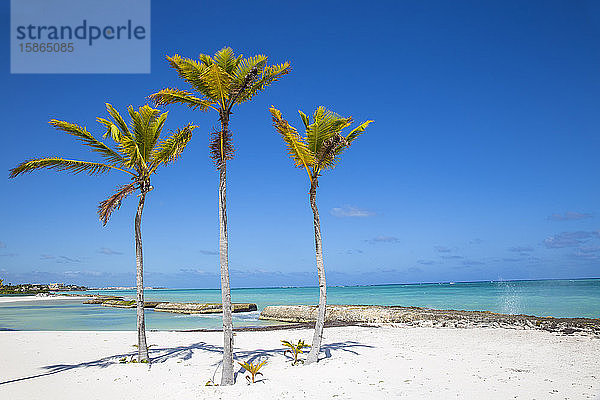 Strand im Resort Also del Mar  Punta Cana  Dominikanische Republik  Westindien  Karibik  Mittelamerika