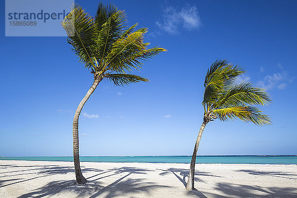 Juanillo Beach  Cap Cana  Punta Cana  Dominikanische Republik  Westindien  Karibik  Mittelamerika