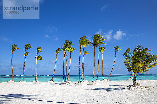 Juanillo Beach  Cap Cana  Punta Cana  Dominikanische Republik  Westindien  Karibik  Mittelamerika