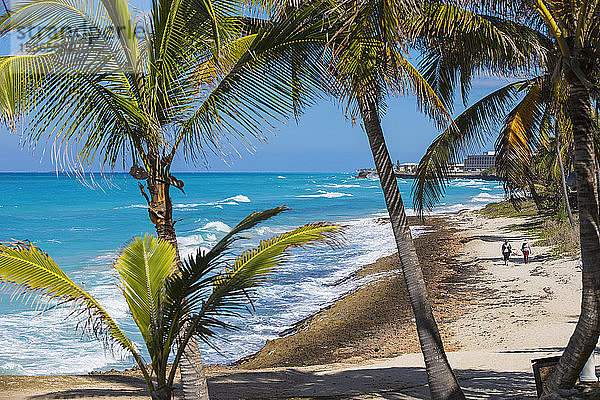 Varadero Strand  Varadero  Kuba  Westindische Inseln  Karibik  Mittelamerika