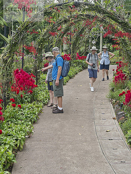 Besucher des Botanischen Gartens  Singapur  Südostasien  Asien