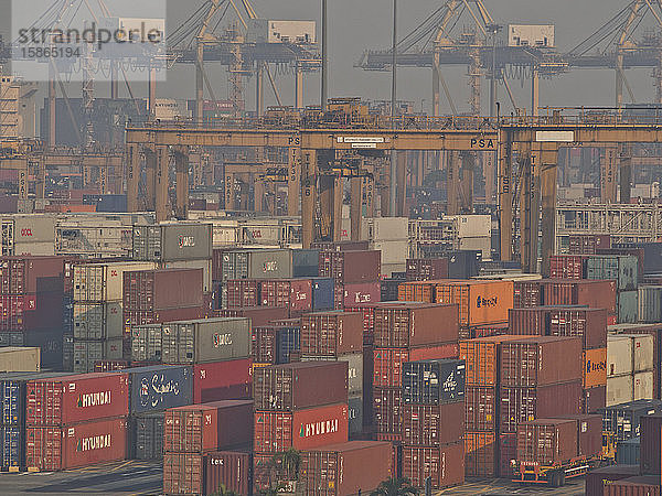 Containerterminal im Hafen von Singapur  betrieben von PSA  eines der verkehrsreichsten Schifffahrtsterminals der Welt  Singapur  Südostasien  Asien