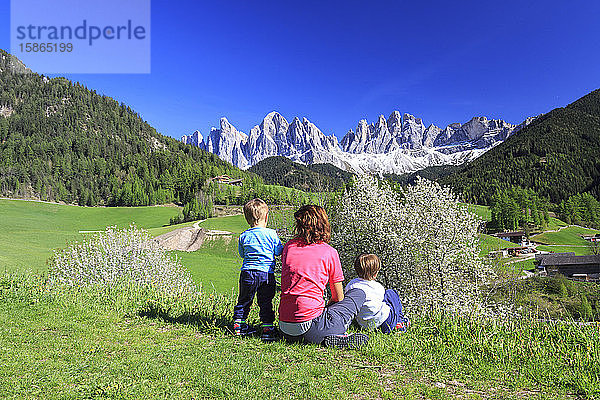 Familie auf grüner Wiese bewundert die blühenden Bäume am Fuße der Geisler  Pustertal  Südtirol  Dolomiten  Italien  Europa