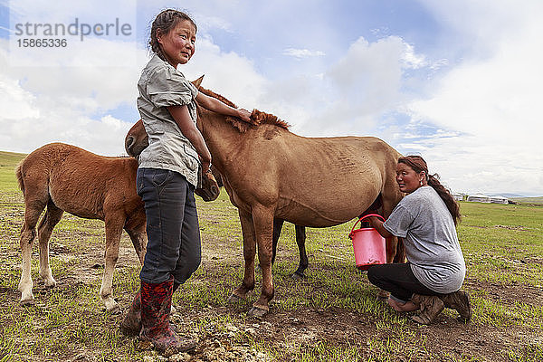Frau melkt Stute (Pferd)  Tochter hält Fohlen  Sommernomadenlager  Khujirt  Uvurkhangai (Ovorkhangai)  Zentralmongolei  Zentralasien  Asien