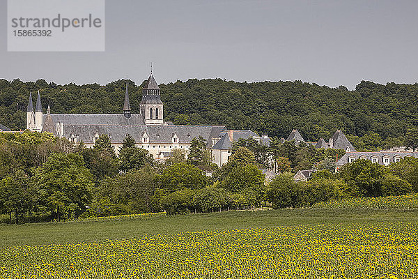 Blick auf die Abtei von Fontevraud  Loiretal  Frankreich  Europa