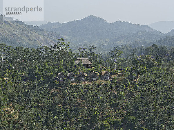 Berglandschaft und Teeplantagen in der Umgebung von Ella  im Hochland von Sri Lanka  Asien