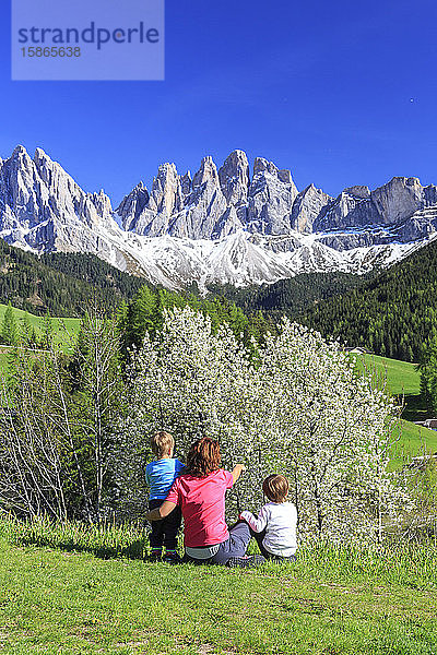 Familie auf grüner Wiese bewundert die blühenden Bäume am Fuße der Geisler  Pustertal  Südtirol  Dolomiten  Italien  Europa