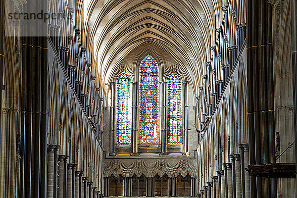 Das prächtige Kirchenschiff der Kathedrale von Salisbury  Salisbury  Wiltshire  England  Vereinigtes Königreich  Europa