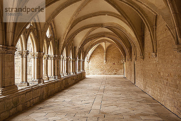 Die Abtei von Noirlac (Abbaye de Noirlac)  Cher  Zentrum  Frankreich  Europa