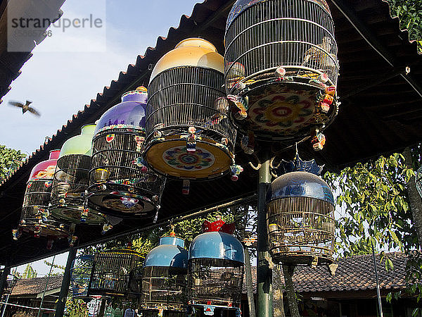 Vogelmarkt in Yogyakarta  Indonesien  Südostasien  Asien