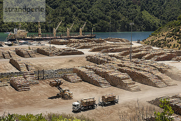 Holzhafen  Okiwa Bay  Marlborough Sounds  Südinsel  Neuseeland  Pazifik