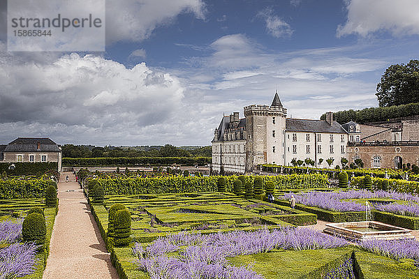 Das schöne Schloss und die Gärten von Villandry  UNESCO-Welterbe  Indre et Loire  Centre  Frankreich  Europa