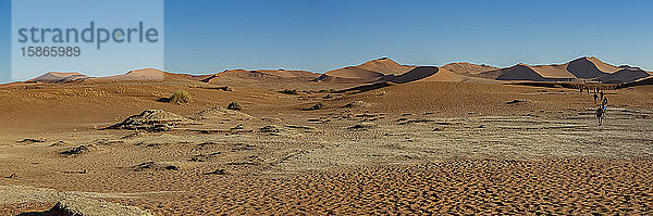 Touristen in den Sanddünen bei Deadvlei  Namib-Wüste; Namibia