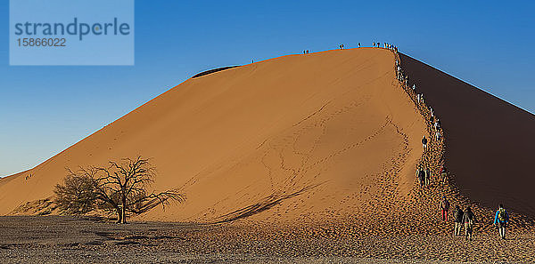 Touristen besteigen die Düne 45  Sossusvlei  Namib-Wüste; Namibia