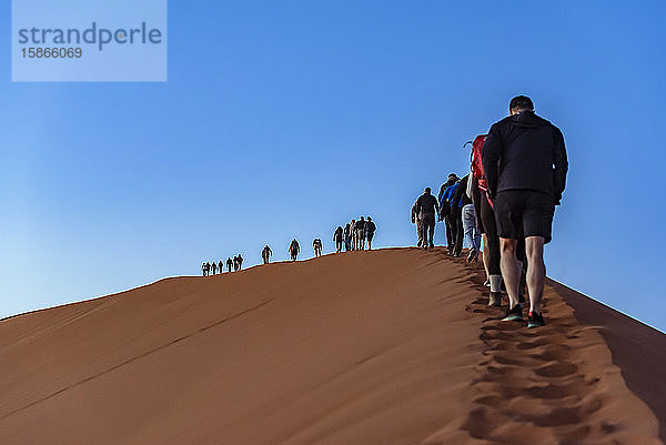 Touristen besteigen die Düne 45  Sossusvlei  Namib-Wüste; Namibia