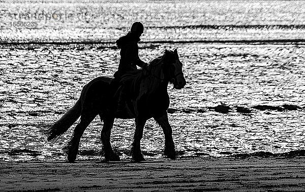 Silhouette eines Pferdes und eines Reiters am Strand  die am Wasser entlang reiten; Sunderland  Tyne and Wear  England