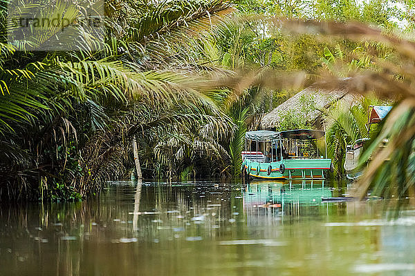 Boot auf dem Mekong-Fluss  Mekong-Flussdelta; Vietnam