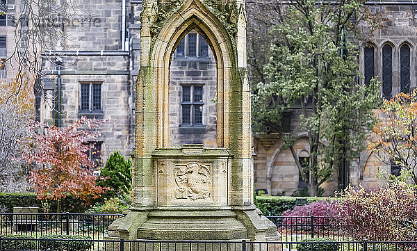 Dekorative Steinstruktur in der Kathedrale von St. John the Divine  Manhattan; New York City  New York  Vereinigte Staaten von Amerika