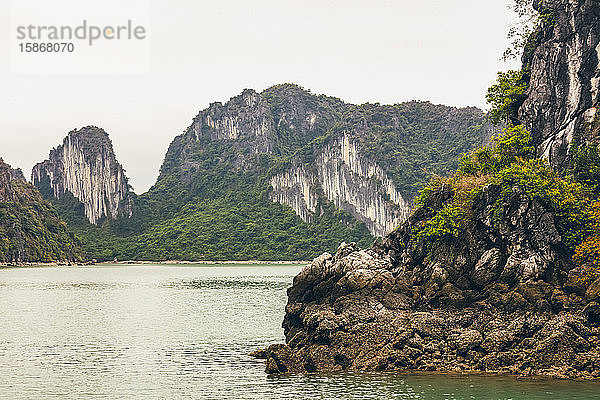 Mit Wasser und Laub bedeckte Kalksteinformationen  Ha Long Bay; Provinz Quang Ninh  Vietnam