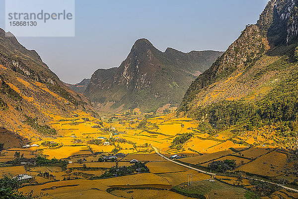 Reisterrassen  Felder und Berge in Cao Bang; Provinz Cao Bang  Vietnam