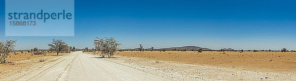 Lange offene Straße  Etosha-Nationalpark; Namibia