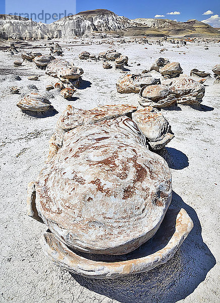 Einzigartige und gemusterte Felsoberflächen  Bisti Badlands  Bisti/De-Na-Zin Wilderness  San Juan County; New Mexico  Vereinigte Staaten von Amerika