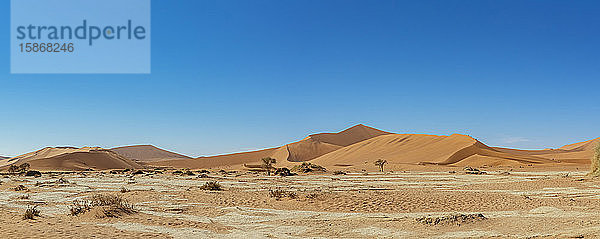 Sanddünen bei Deadvlei  Namib-Wüste; Namibia