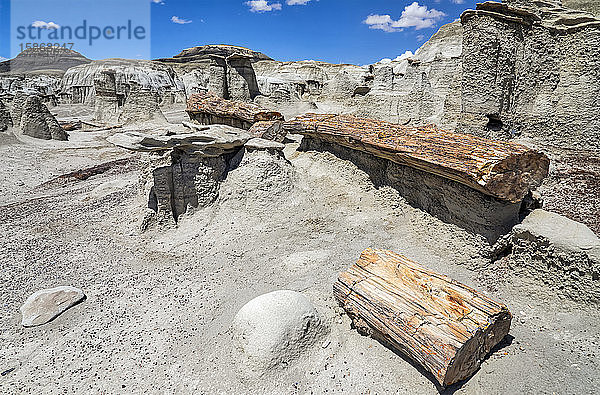 Felsformationen und versteinertes Holz  Bisti Badlands  Bisti/De-Na-Zin Wilderness  San Juan County; New Mexico  Vereinigte Staaten von Amerika