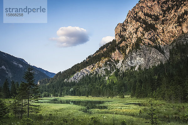 Alpine Berge an einem Sommerabend  mit Blick auf einen von grünen Wiesen umgebenen See; Wildalpen  Landl  Österreich