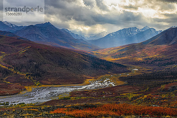 Die Herbstfarben tauchen die Landschaft entlang des Dempster Highway  Yukon  in Farbe. Ein erstaunlich schöner Ort zu jeder Jahreszeit  aber im Herbst bekommt er eine ganz andere Ausstrahlung; Yukon  Kanada