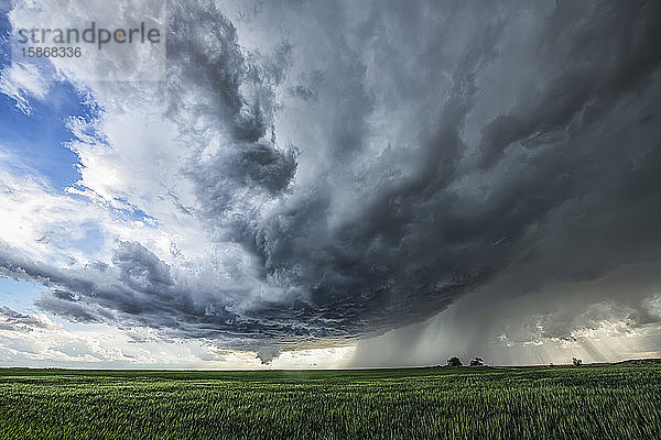 Dramatischer Himmel über den Ebenen des Mittleren Westens der Vereinigten Staaten während der Tornadosaison. Erstaunliche Wolkenformationen zeigen die Kraft und Schönheit von Mutter Natur; Nebraska  Vereinigte Staaten von Amerika